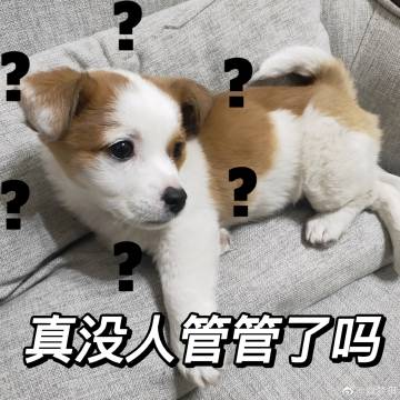 狗狗表情包真没人管了吗