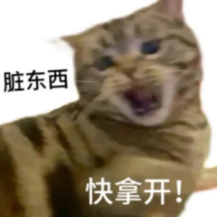可爱小猫表情包