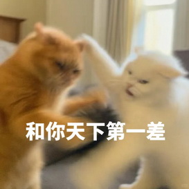 猫咪抽象Emoji搞笑表情