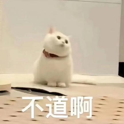 可爱小猫表情包