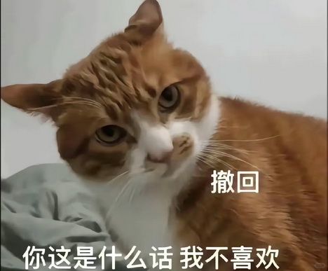 小红书猫咪表情符号动图GIF