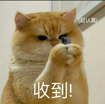 cats表情图片下载