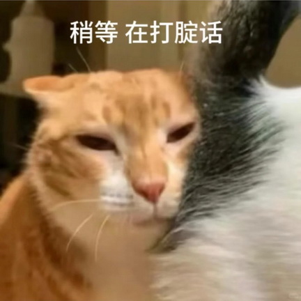 小红书猫咪表情符号动图GIF