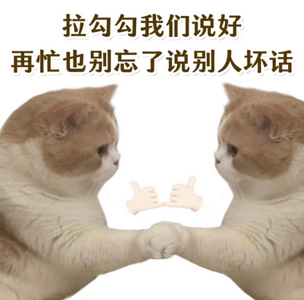 小红书猫咪表情符号动图GIF