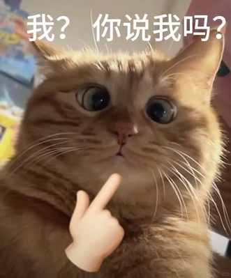 cats表情图片下载