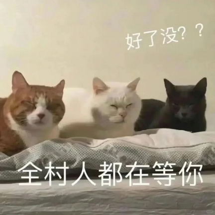 小猫咪表情包
