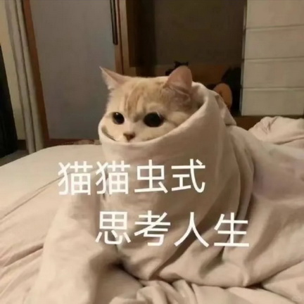小猫咪表情包