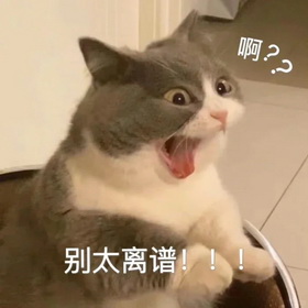 cats表情图片下载