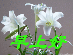 早安问候表情包贴纸第17张 早上好