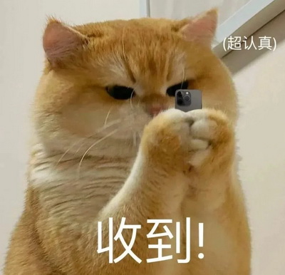 嘻嘻表情包大全微信