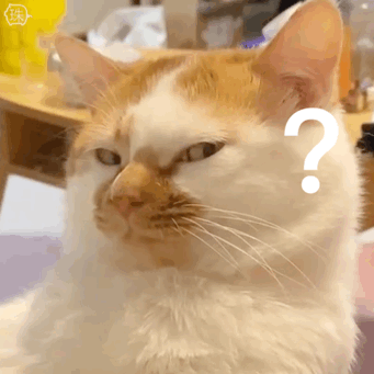 猫咪翻白眼表情包 QQ表情
