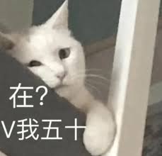 在?V我五十肯德基表情包