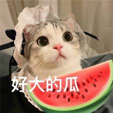 吃瓜表情包