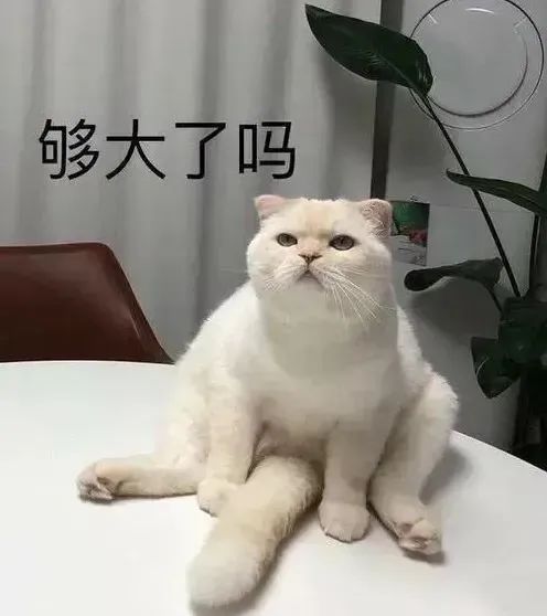 表情包表情大全