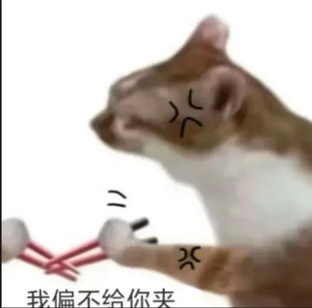 我偏不给你夹猫猫表情包