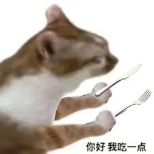你好我吃一点猫猫表情包